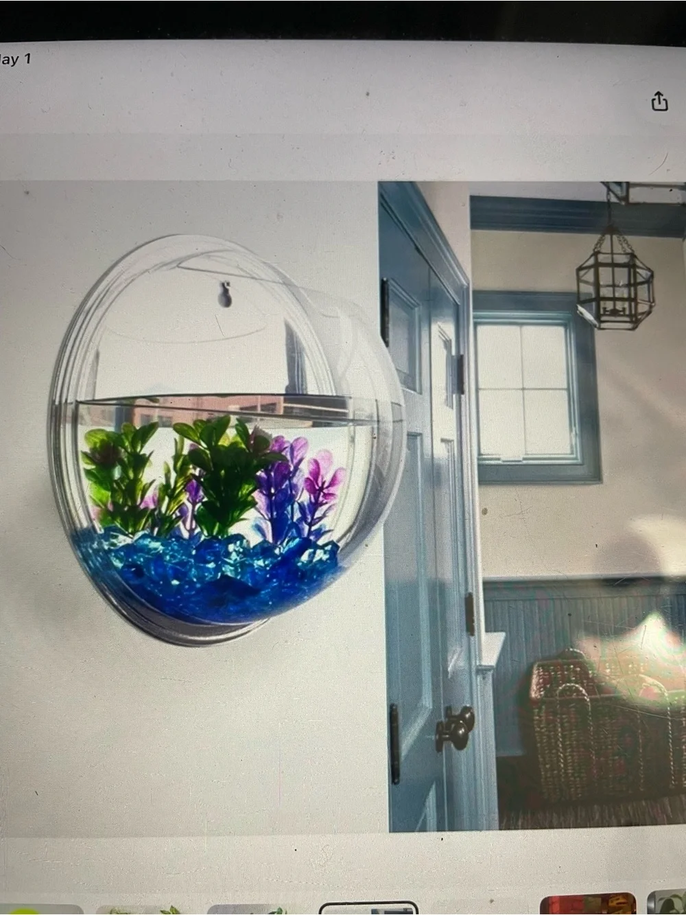 Hanging Clear Wall Fish Tank Bowl - Transparent